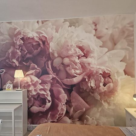 利沃诺Casa Le Coccole公寓 外观 照片
